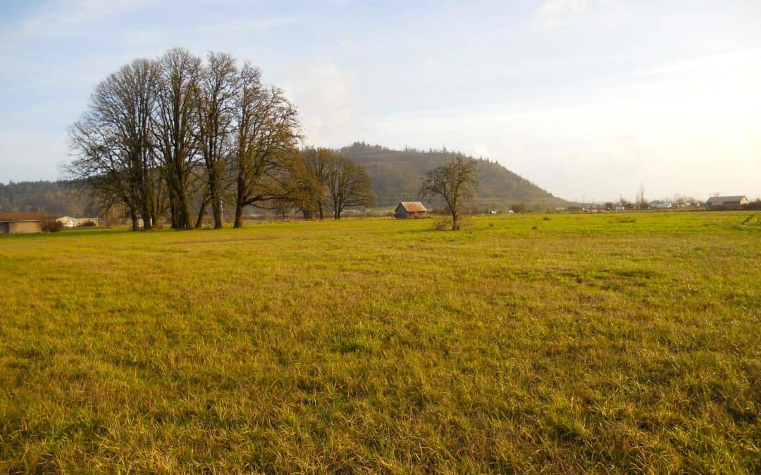 Richardson Gap Farm | Willamette Valley Farmland