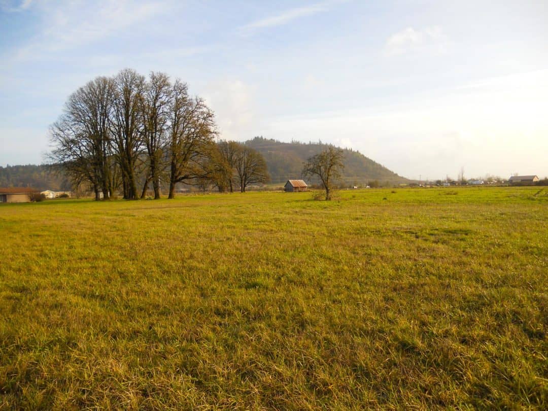 Richardson Gap Farm | Willamette Valley Farmland