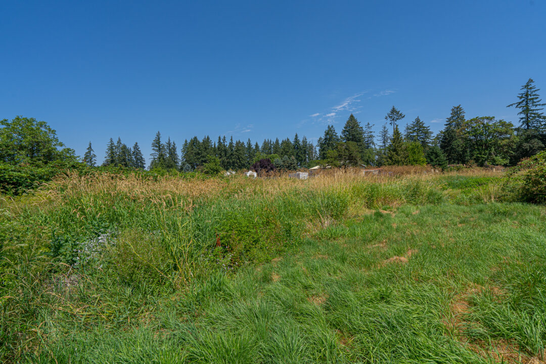 33027 White Oak Lot 2 **SOLD**